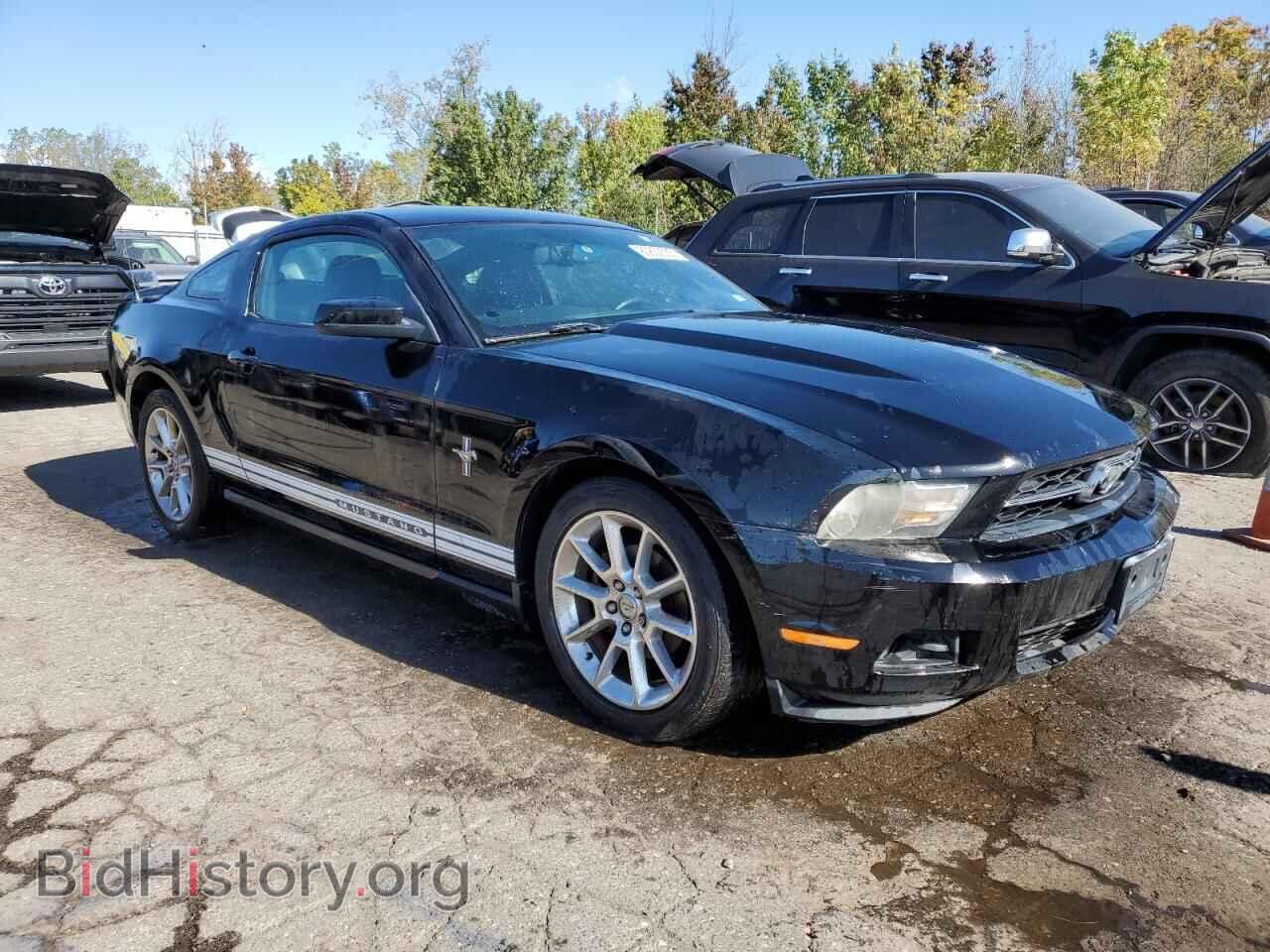 2010 FORD ALL Models - VIN: 1ZVBP8AN9A5117767 - Фото 4