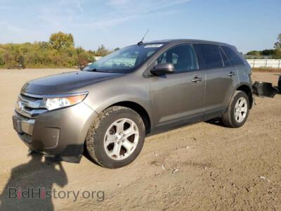 2013 Ford EDGE SEL, светло-коричневый — VIN 2FMDK4JC5DBB52335, Copart