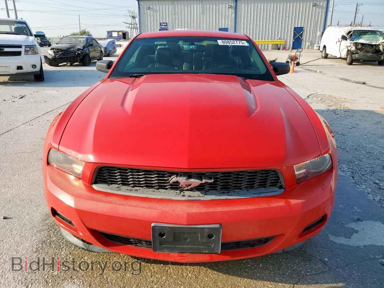 2011 FORD ALL Models - VIN: 1ZVBP8AM0B5119867 - Фото 5