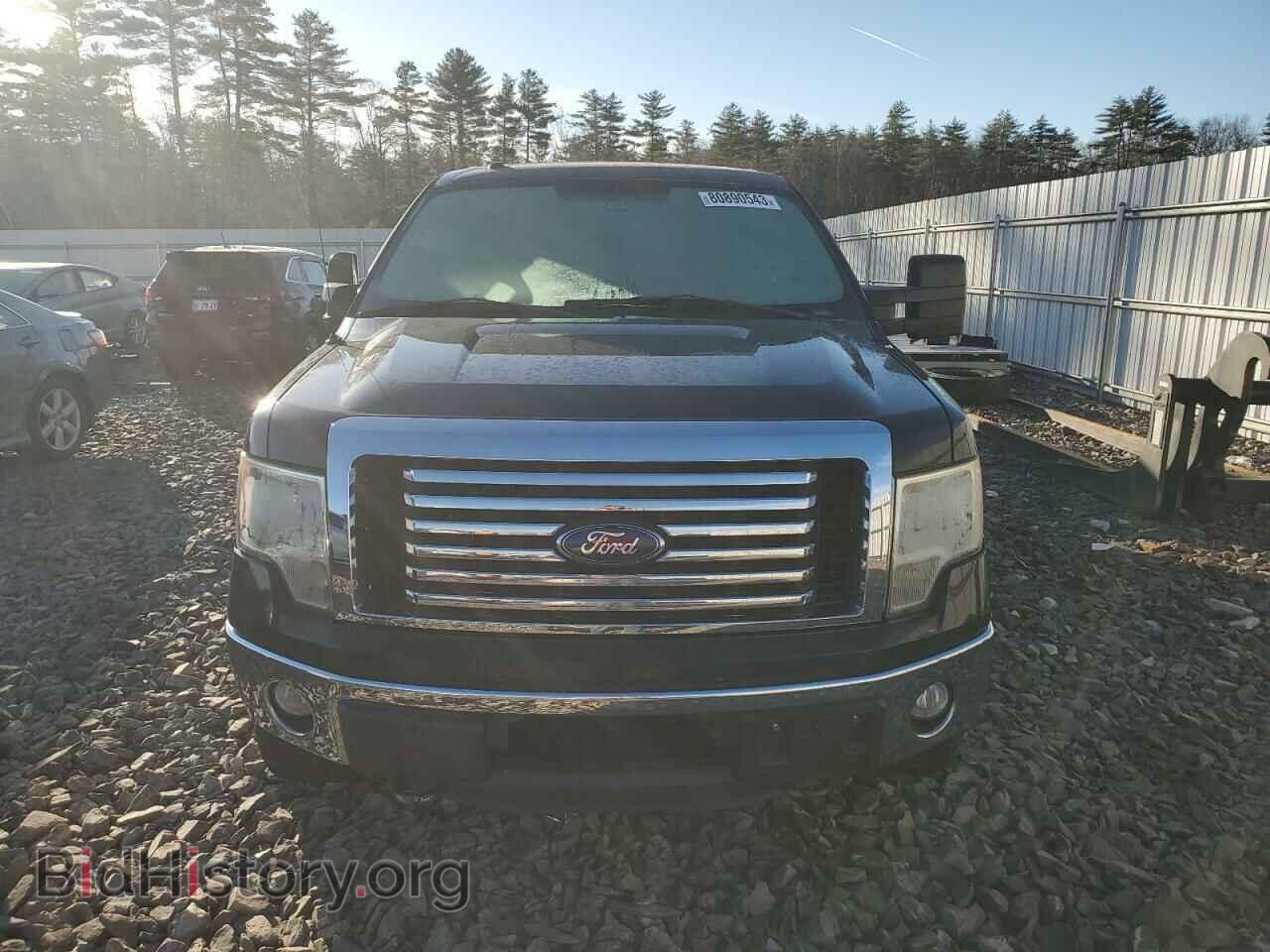 2011 FORD F-150 - VIN: 1FTFX1ET9BFC24849 - Фото 5