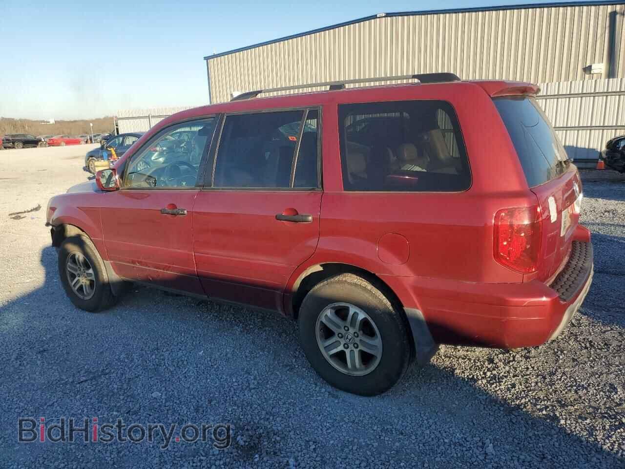 2005 HONDA PILOT - VIN: 5FNYF18575B033397 - Фото 2