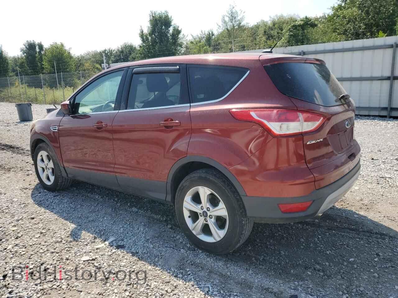 2014 FORD ESCAPE - VIN: 1FMCU0GX0EUC09514 - Фото 2