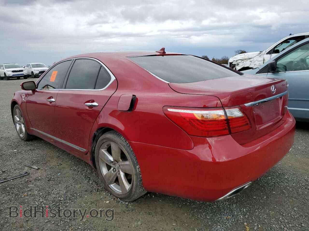2011 LEXUS LS460 - VIN: JTHBL5EF9B5105814 - Photo 2