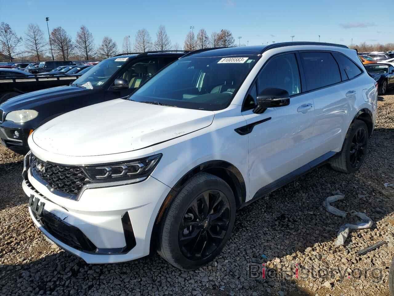 Фотография 5XYRK4LF4PG169287 - KIA SORENTO 2023