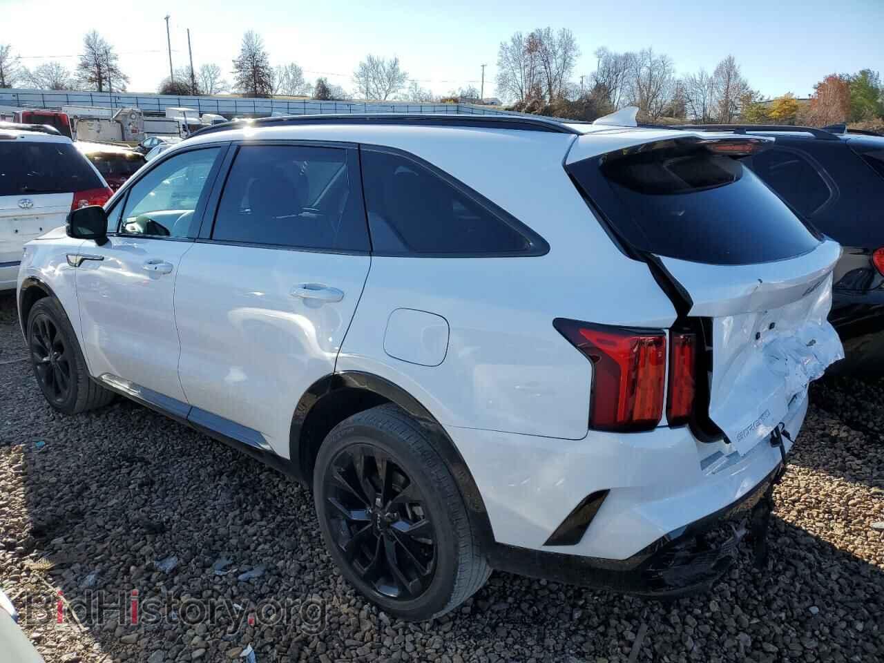 2023 KIA SORENTO - VIN: 5XYRK4LF4PG169287 - Фото 2