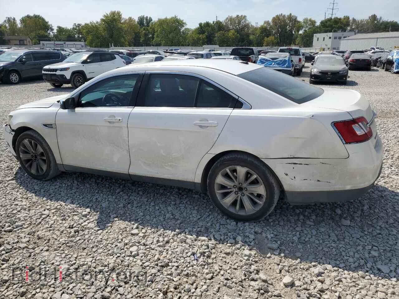 2011 FORD TAURUS - VIN: 1FAHP2FW8BG124829 - Фото 2