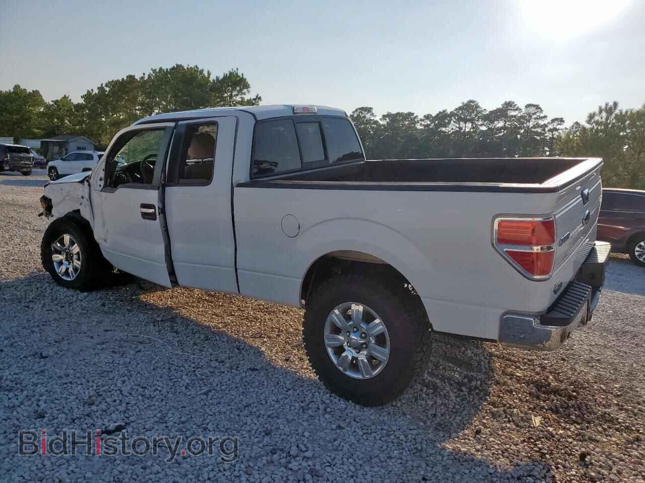 2011 FORD F-150 - VIN: 1FTFX1CT6BFA64464 - Фото 2