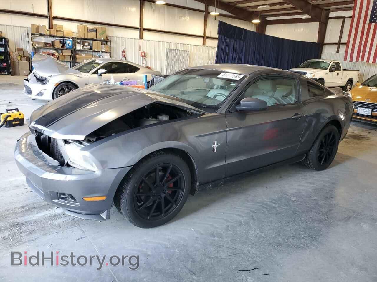 Photo 1ZVBP8AN7A5153828 - FORD ALL Models 2010