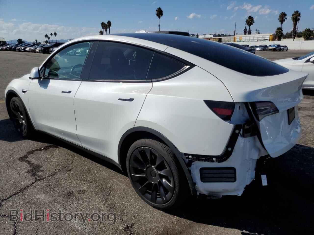 2024 TESLA MODEL Y - VIN: 7SAYGDEE1RF064317 - Фото 2