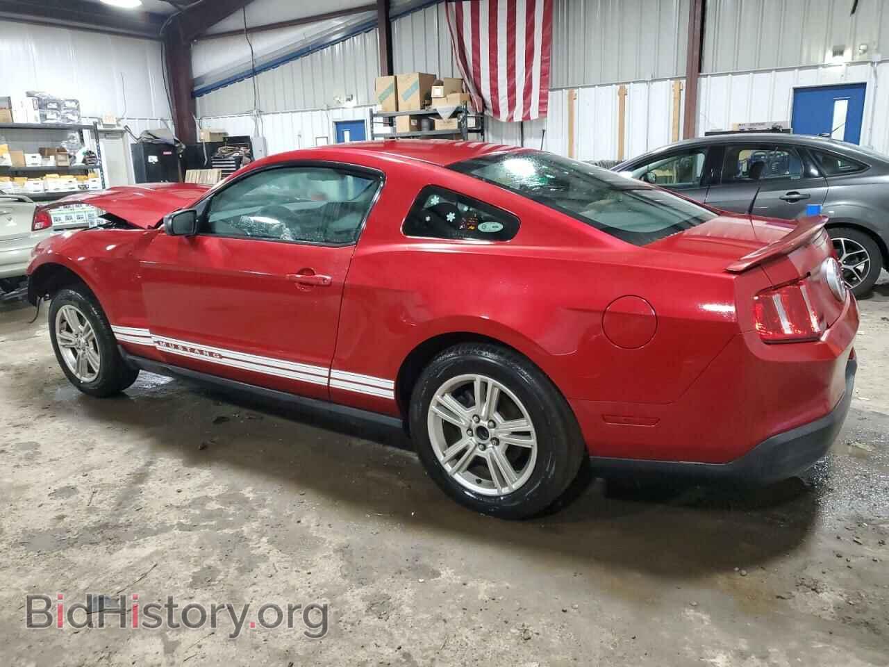 2010 FORD ALL Models - VIN: 1ZVBP8AN5A5160504 - Фото 2