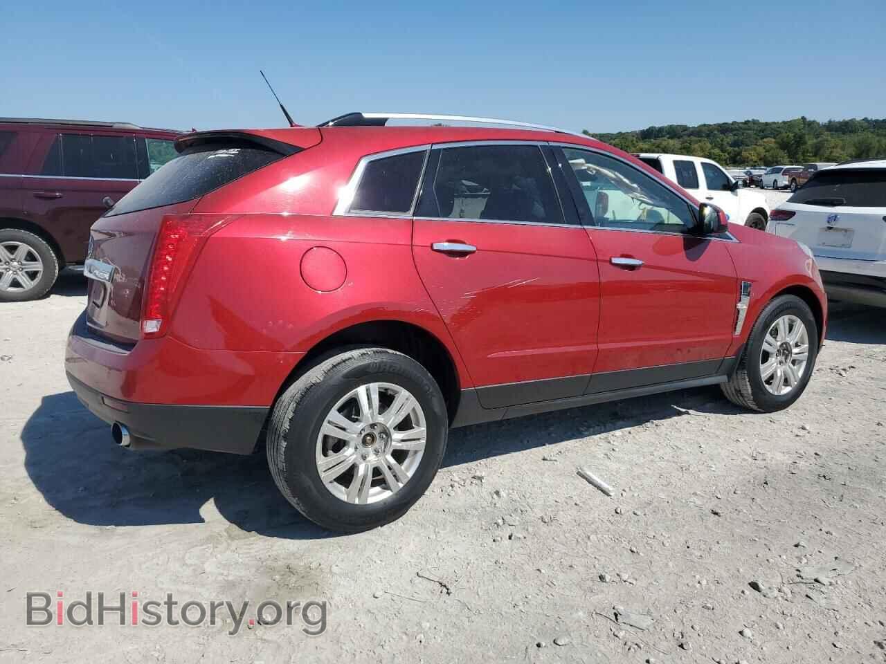 2010 CADILLAC SRX - VIN: 3GYFNDEY8AS644318 - Фото 3