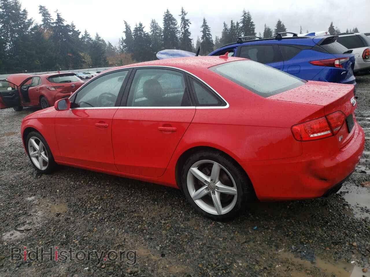2012 AUDI A4 - VIN: WAUBFAFL3CN002117 - Фото 2