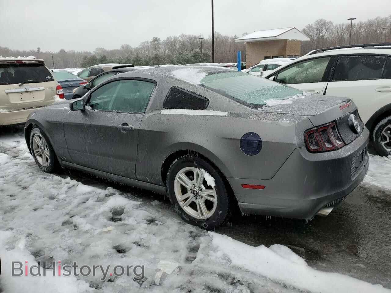 2014 FORD ALL Models - VIN: 1ZVBP8AM1E5220825 - Фото 2