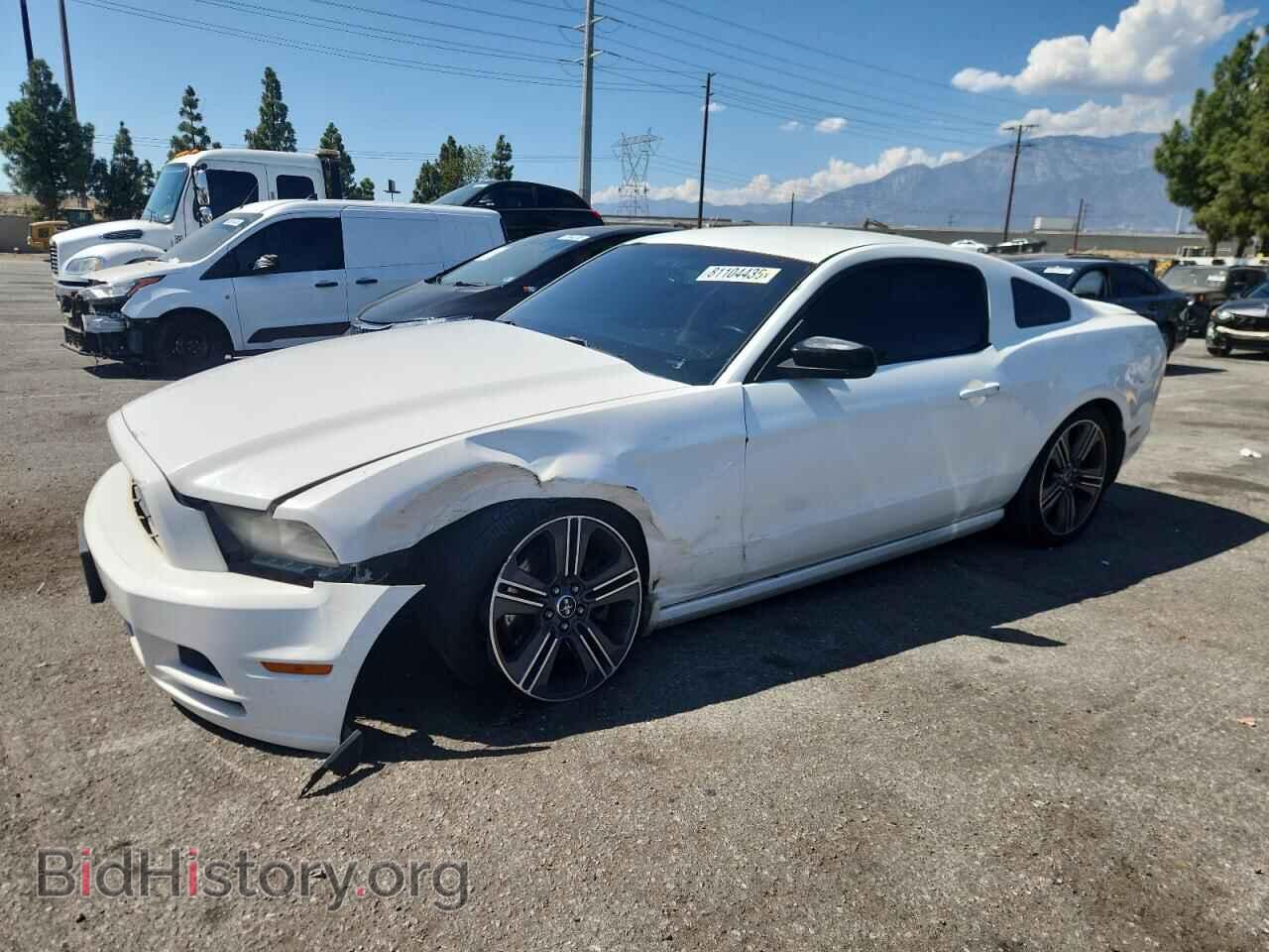 Photo 1ZVBP8AM8D5202630 - FORD ALL Models 2013