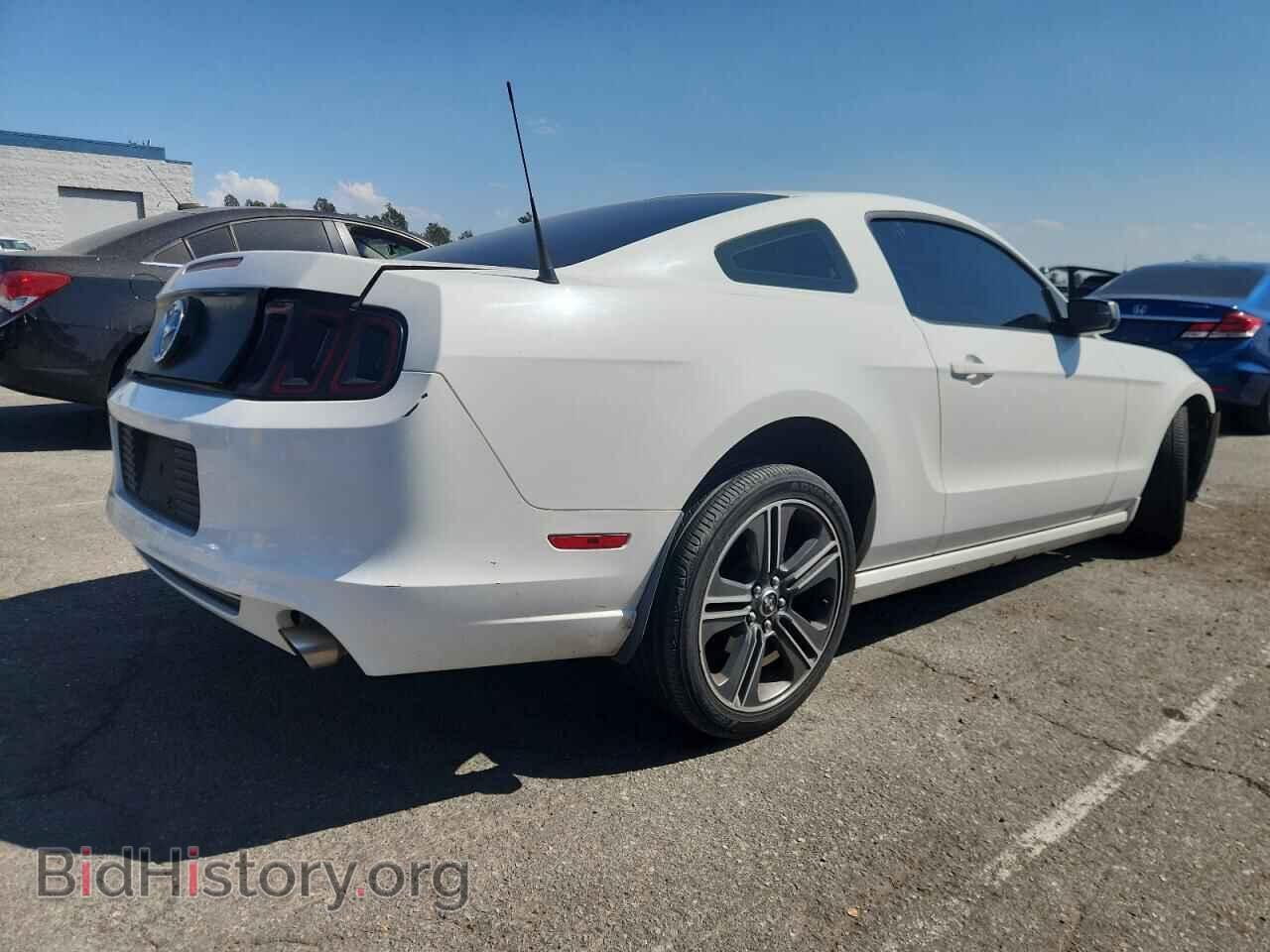 2013 FORD ALL Models - VIN: 1ZVBP8AM8D5202630 - Фото 3