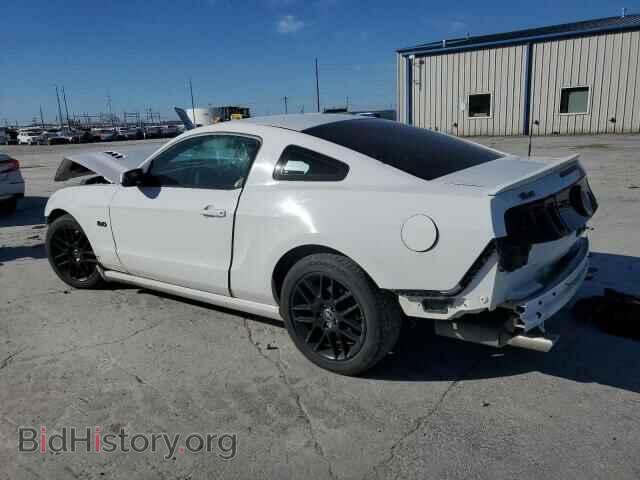 2014 FORD MUSTANG - VIN: 1ZVBP8CF6E5330655 - Фото 2