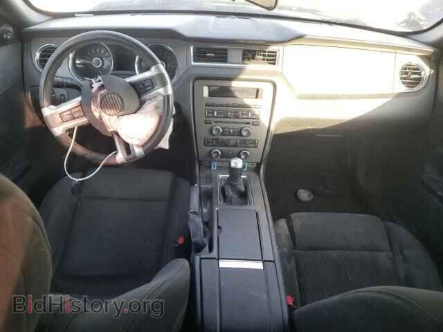 2014 FORD MUSTANG - VIN: 1ZVBP8CF6E5330655 - Фото 8