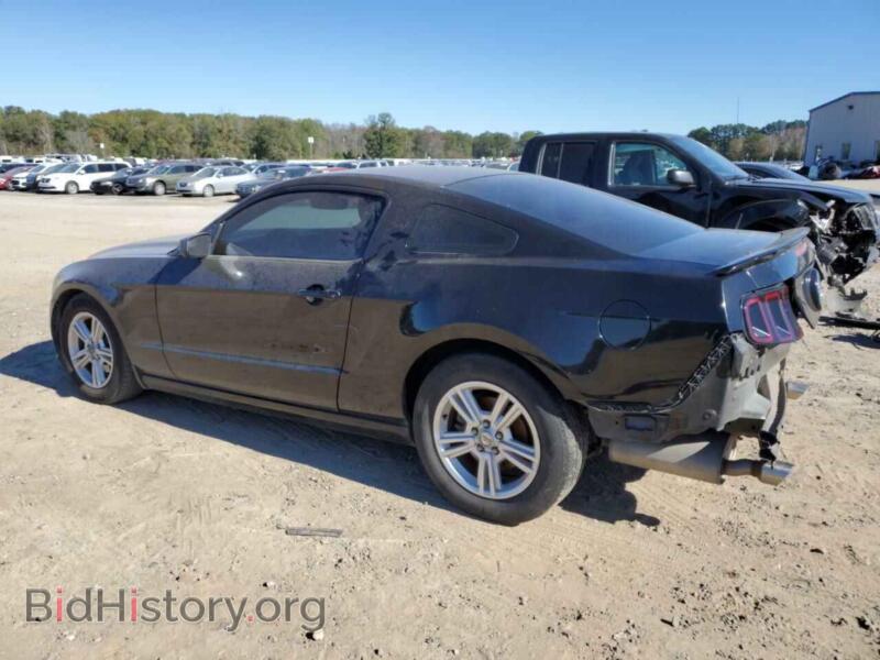 2014 Ford ALL MODELS (VIN 1ZVBP8AM0E5312976) — photo 2 of 13