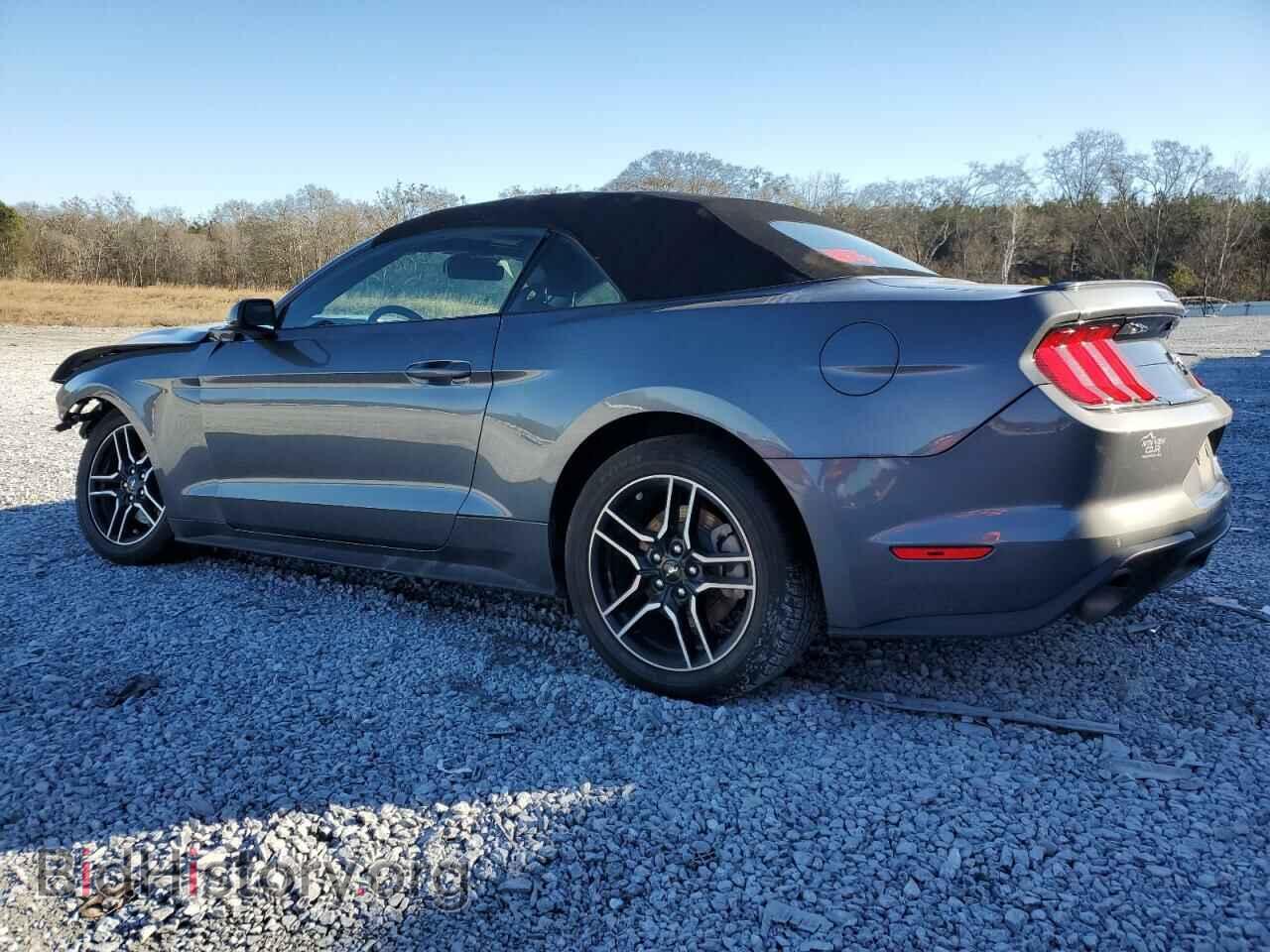 2021 FORD ALL Models - VIN: 1FATP8UH5M5105686 - Photo 2