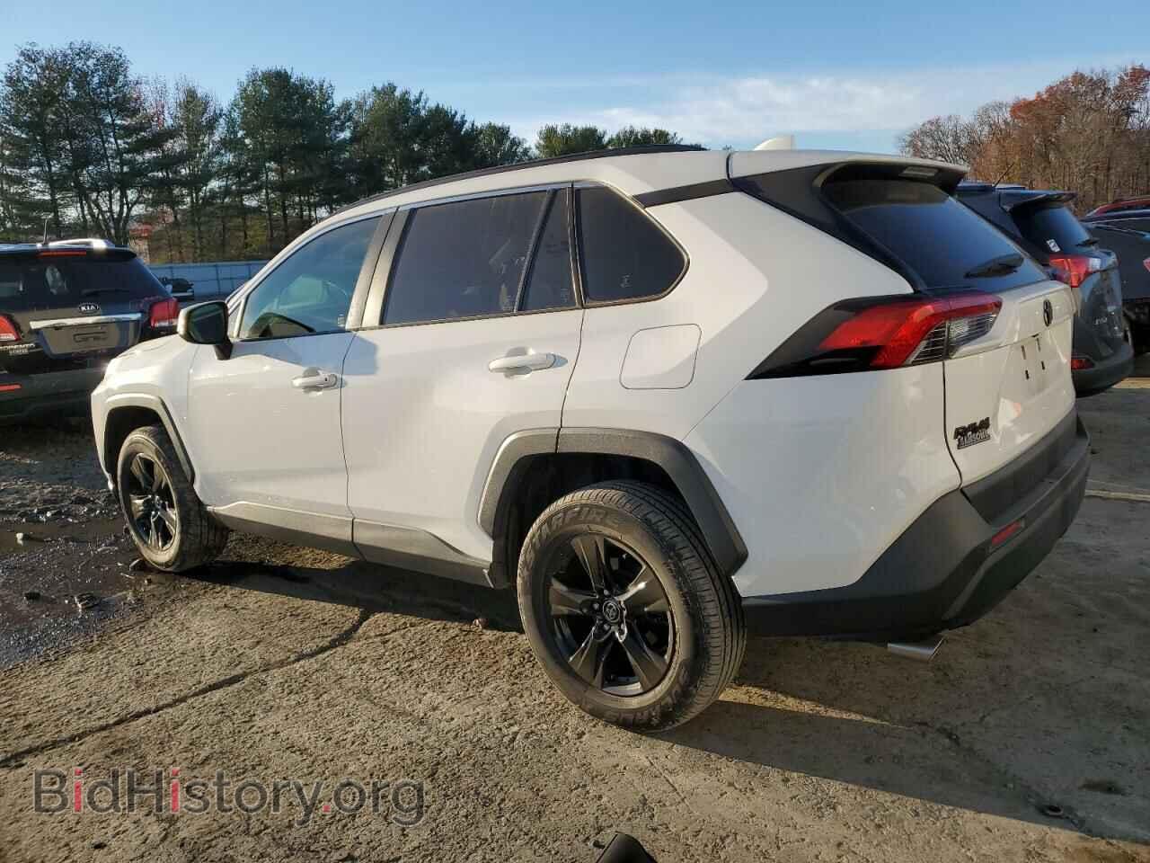 2019 TOYOTA RAV4 - VIN: JTMP1RFV3KD503486 - Фото 2