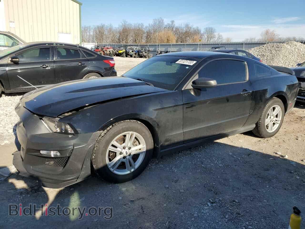 Photo 1ZVBP8AM1C5239999 - FORD ALL Models 2012