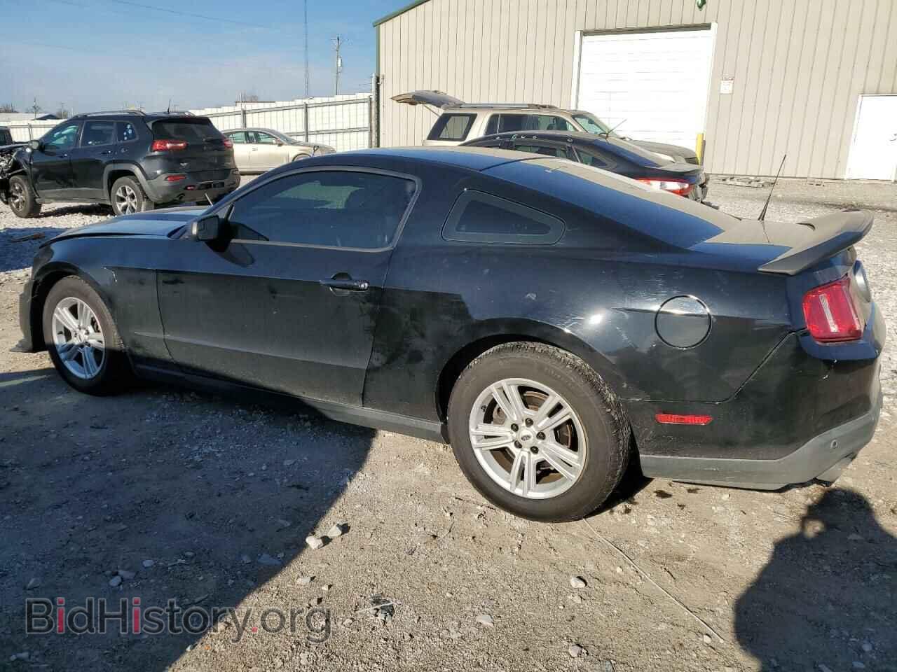 2012 FORD ALL Models - VIN: 1ZVBP8AM1C5239999 - Фото 2