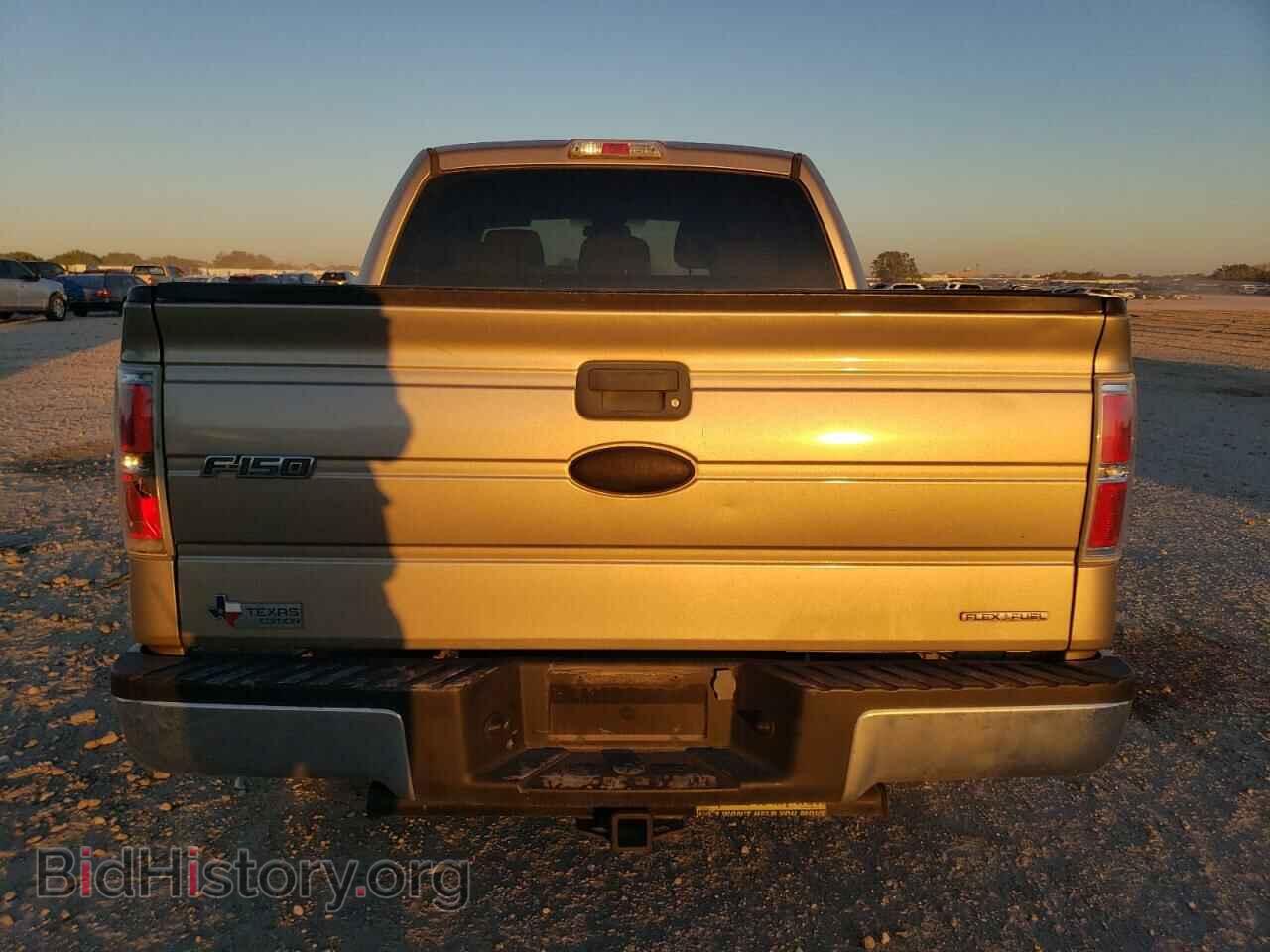 2011 FORD F-150 - VIN: 1FTEW1CM0BFB23161 - Фото 6