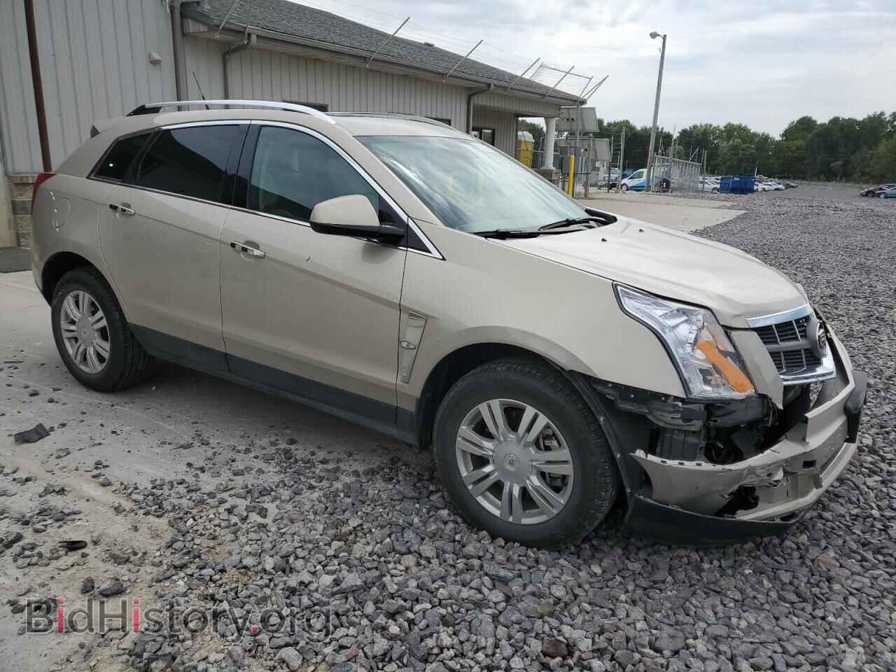2011 CADILLAC SRX - VIN: 3GYFNDEY8BS680656 - Фото 4