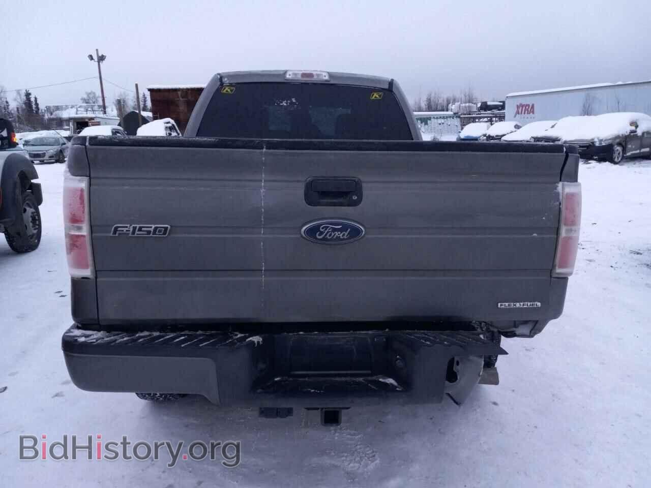 2013 FORD F-150 - VIN: 1FTFX1EF8DFA68316 - Фото 6