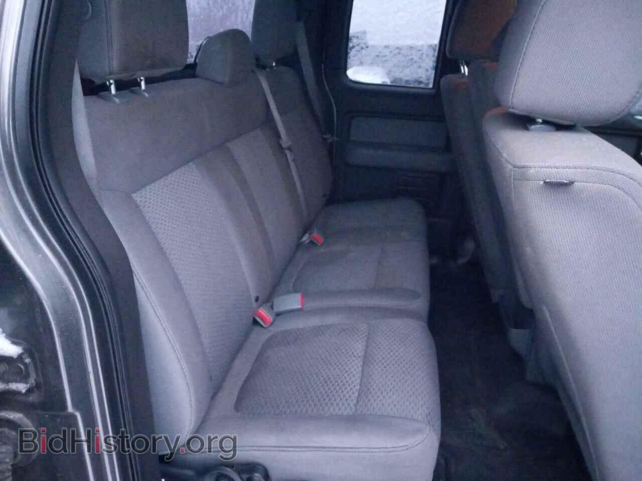 2013 FORD F-150 - VIN: 1FTFX1EF8DFA68316 - Фото 10