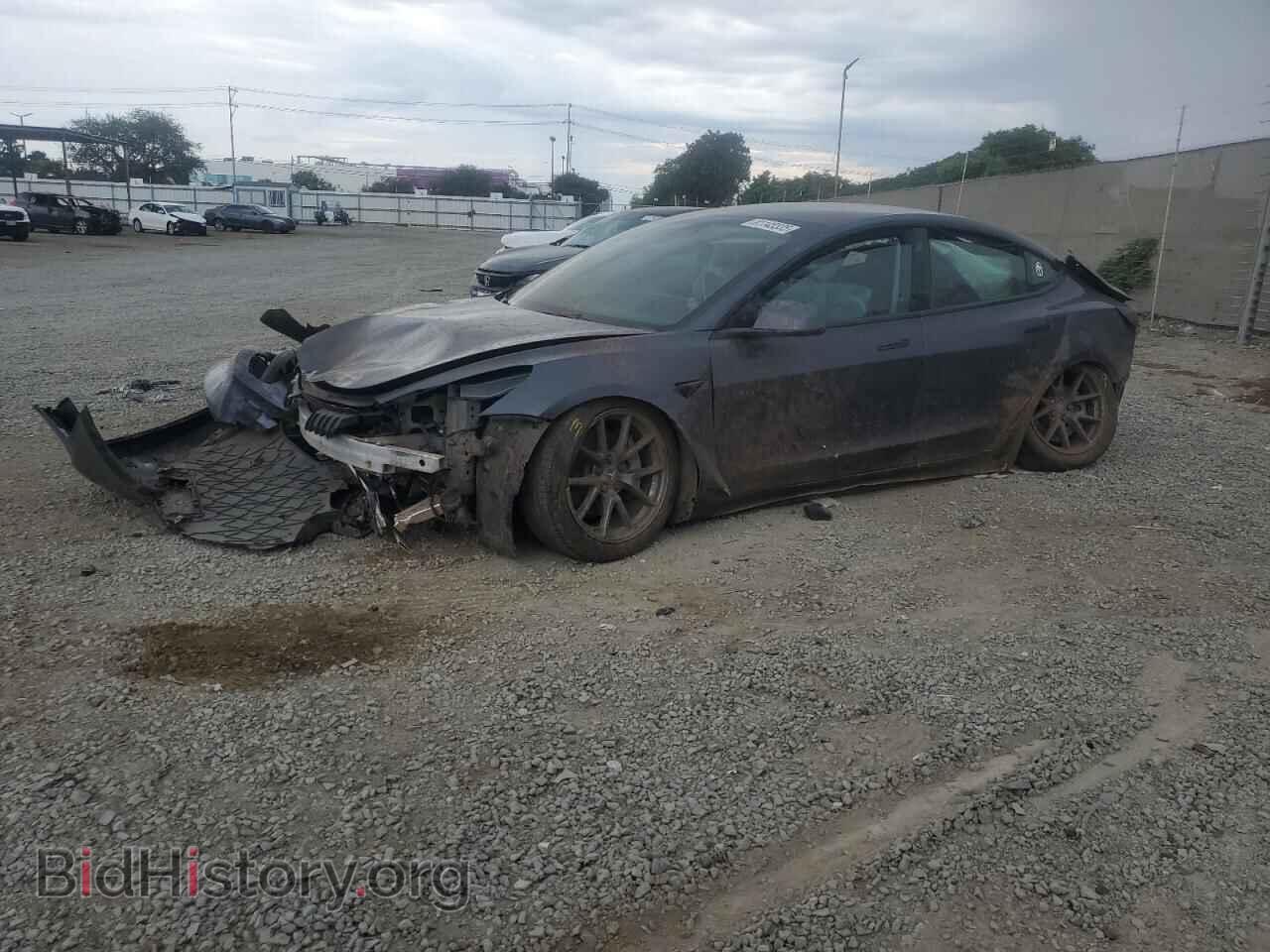 Photo 5YJ3E1EA7PF462718 - TESLA MODEL 3 2023