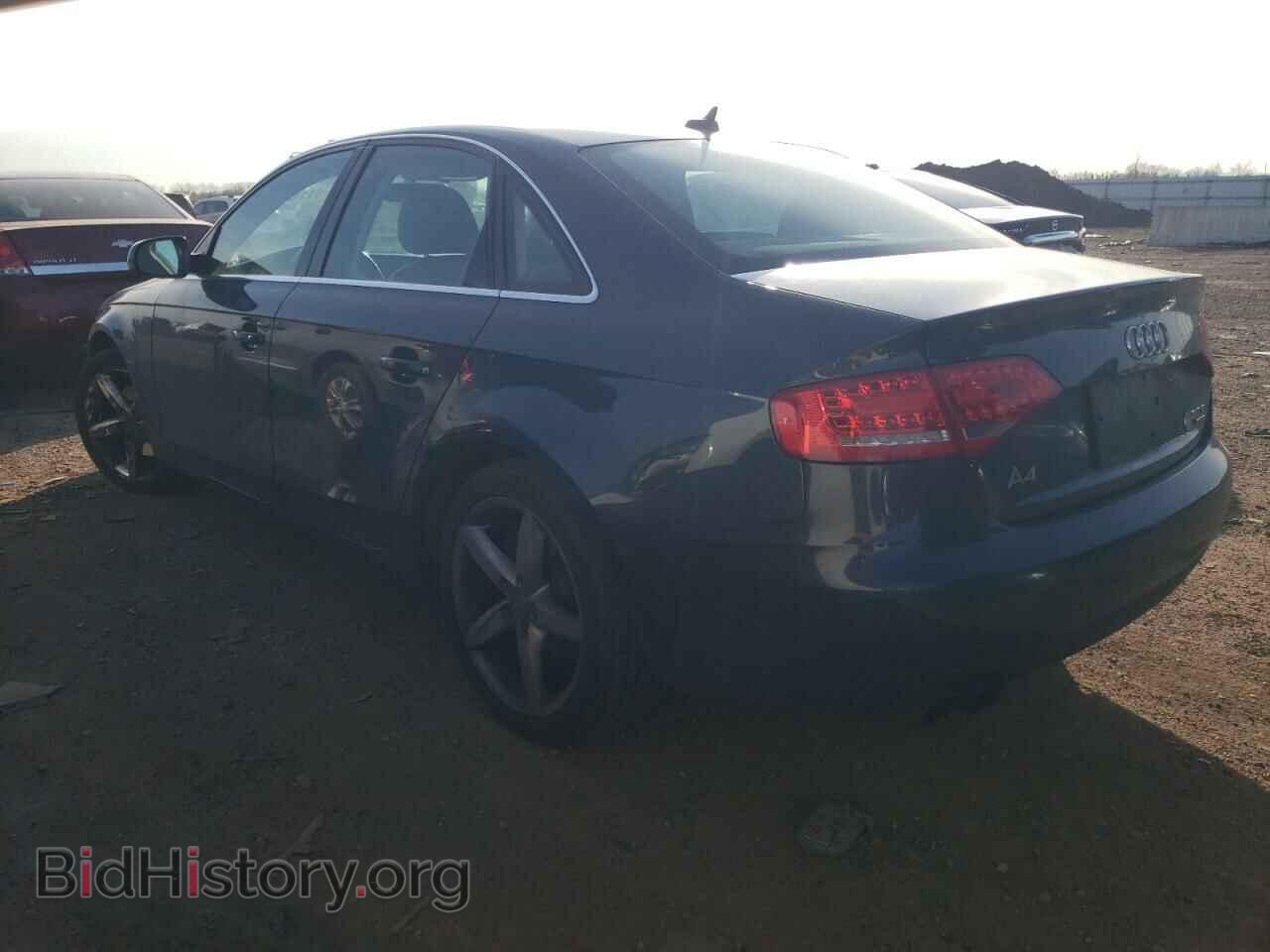 2011 AUDI A4 - VIN: WAUHFAFL3BN056865 - Фото 2