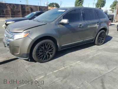 2014 Ford EDGE SEL, светло-коричневый — VIN 2FMDK3J95EBA90838, Copart