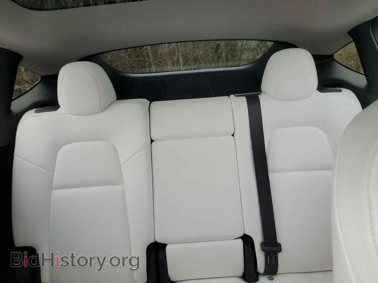 2023 TESLA MODEL Y - VIN: 7SAYGDEE3PF912209 - Фото 10