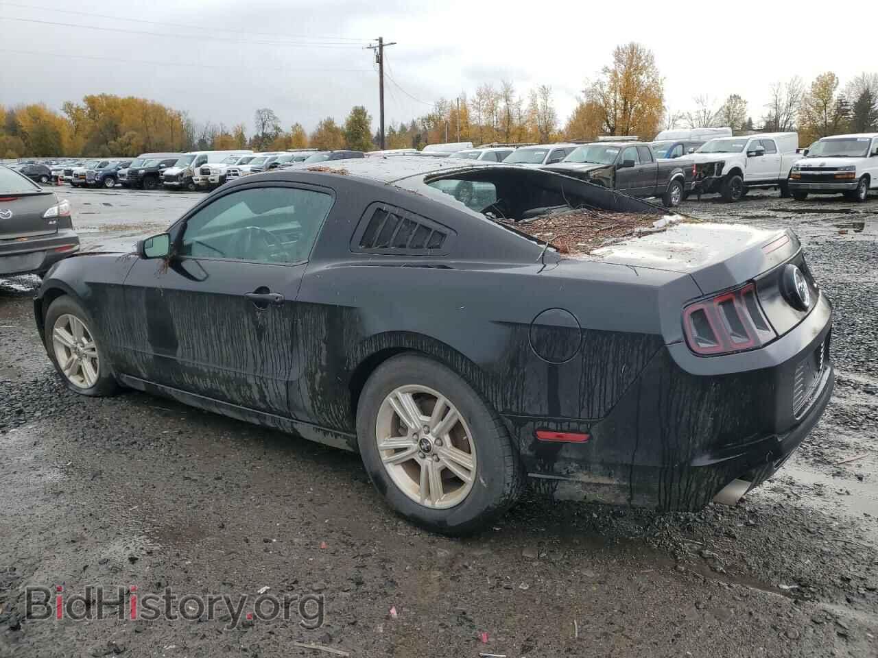 2013 FORD ALL Models - VIN: 1ZVBP8AM9D5280169 - Фото 2
