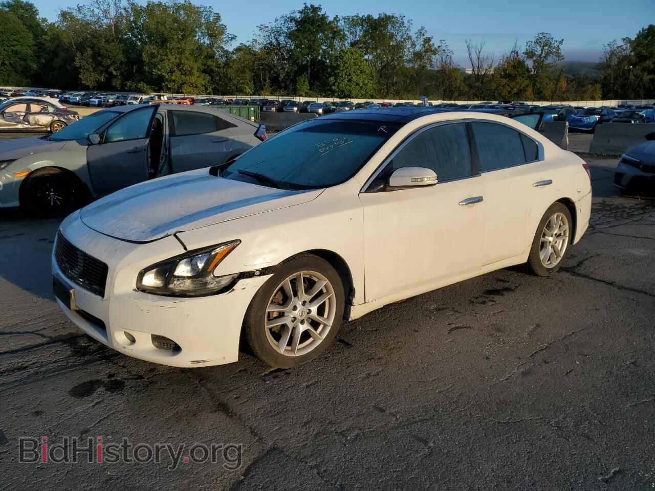 Фотография 1N4AA5AP5BC826828 - NISSAN MAXIMA 2011