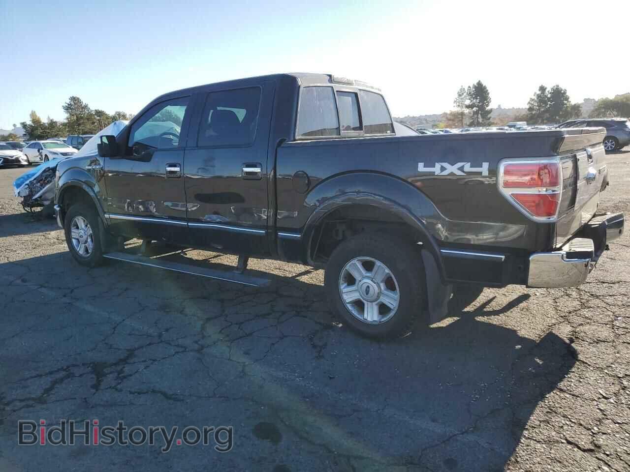 2010 FORD F-150 - VIN: 1FTFW1EV2AFA92942 - Фото 2