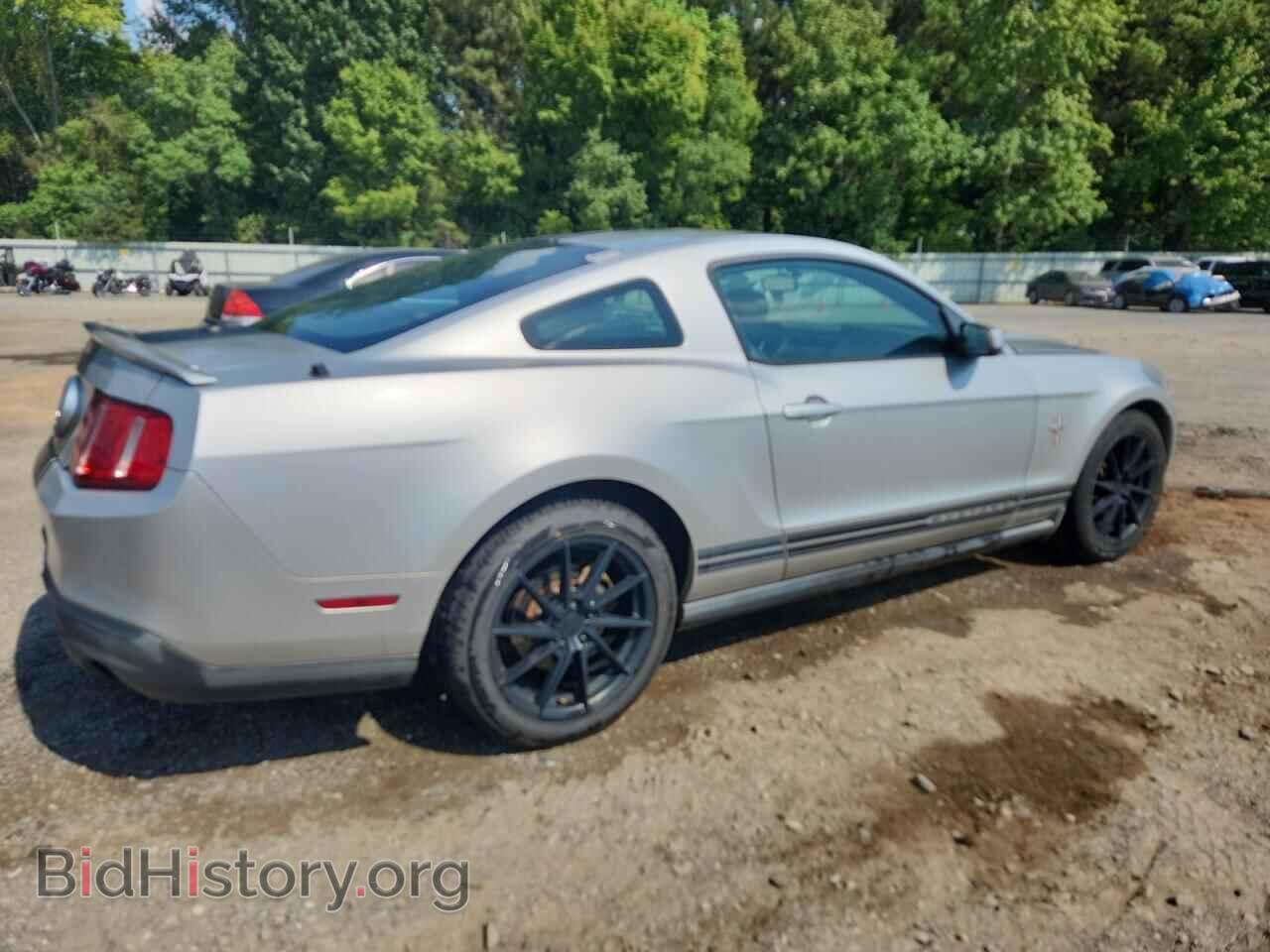 2010 FORD ALL Models - VIN: 1ZVBP8AN1A5181933 - Фото 3