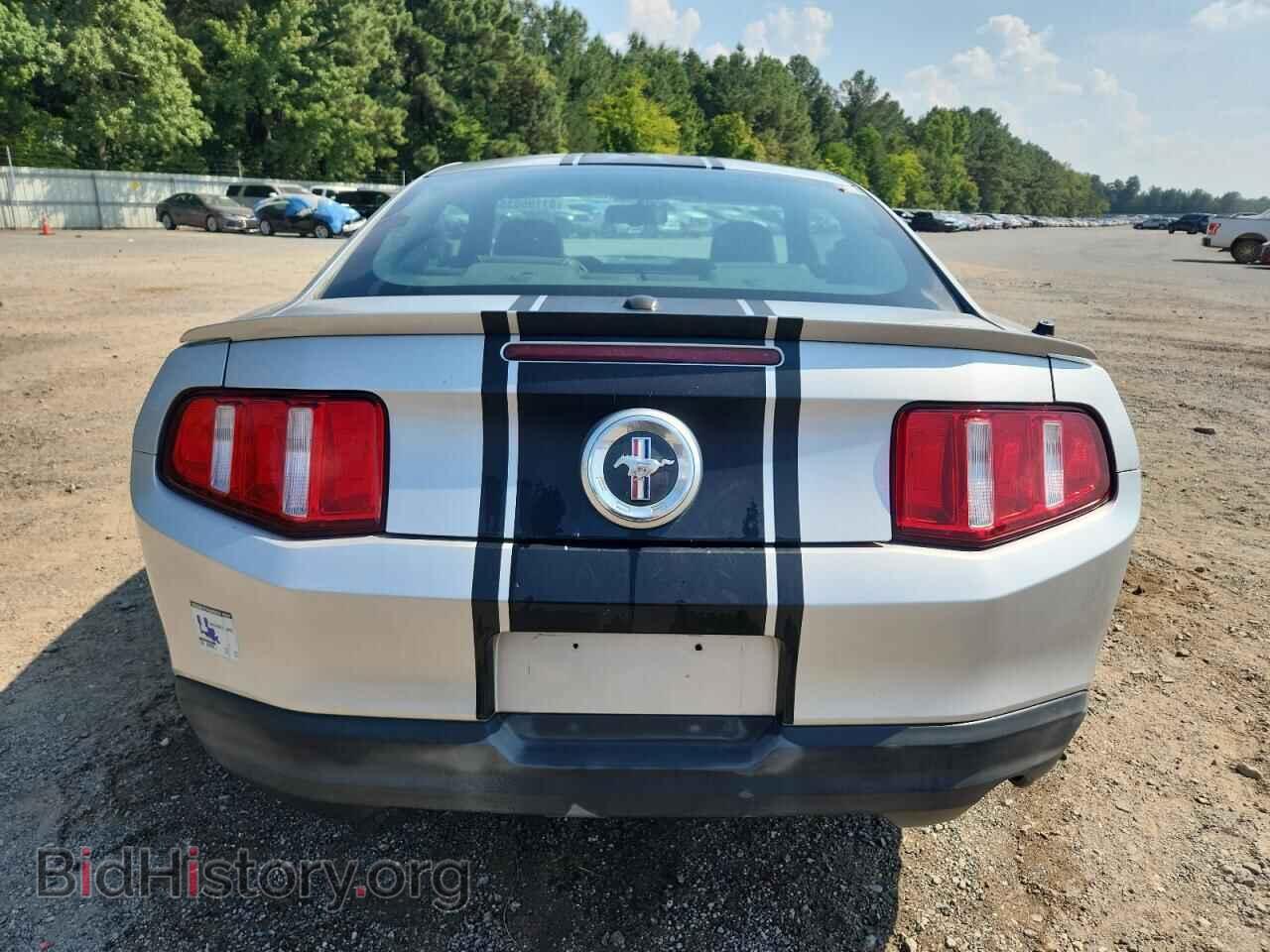 2010 FORD ALL Models - VIN: 1ZVBP8AN1A5181933 - Фото 6