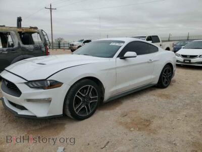 2020 Ford ALL MODELS, white — VIN 1FA6P8TH9L5176628, Copart