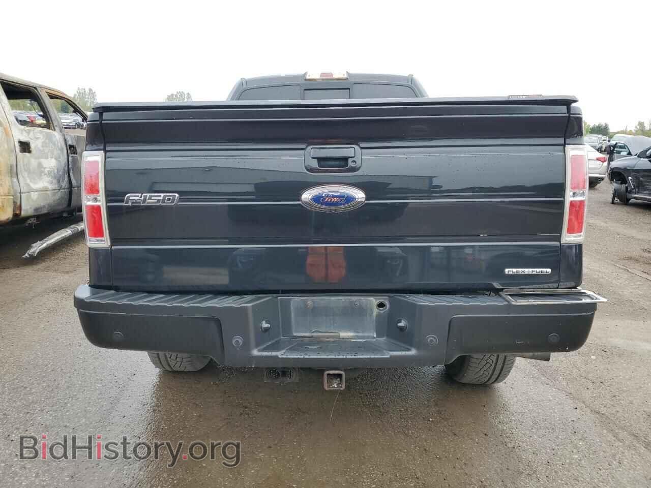 2013 FORD F-150 - VIN: 1FTFX1EF0DFB24569 - Фото 6