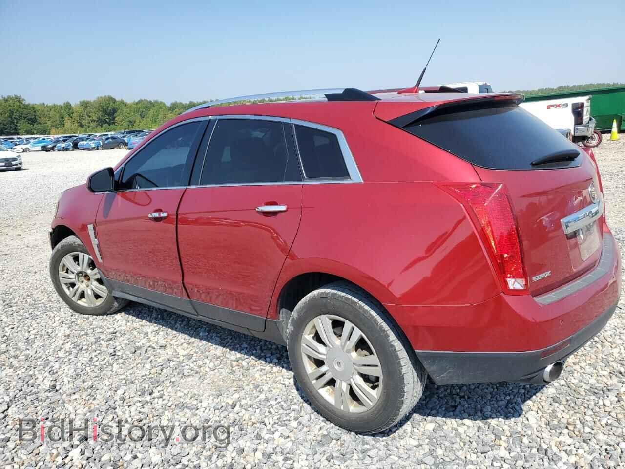 2011 CADILLAC SRX - VIN: 3GYFNAEY3BS537502 - Фото 2