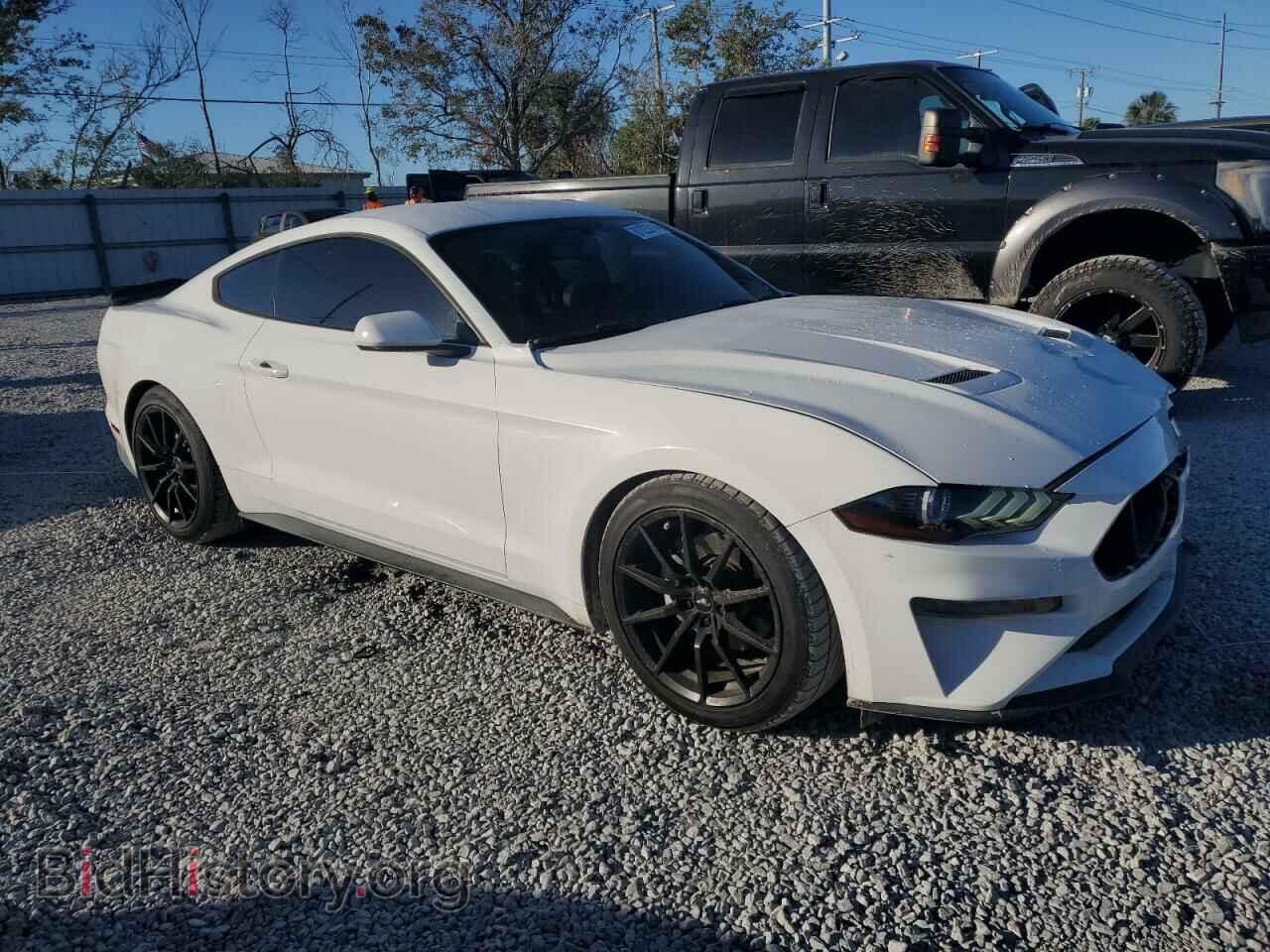 2019 FORD ALL Models - VIN: 1FA6P8TH5K5120281 - Фото 4