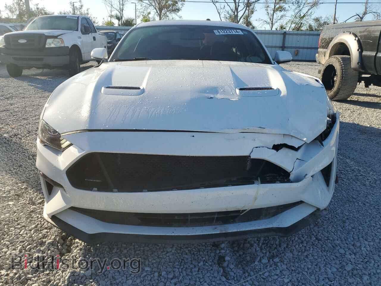 2019 FORD ALL Models - VIN: 1FA6P8TH5K5120281 - Фото 5
