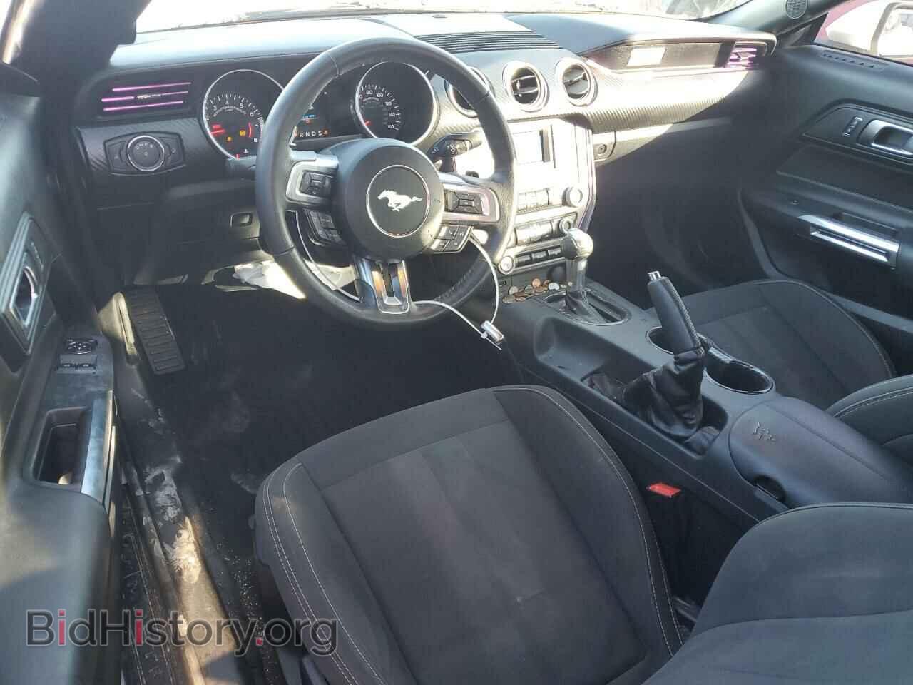 2019 FORD ALL Models - VIN: 1FA6P8TH5K5120281 - Фото 8