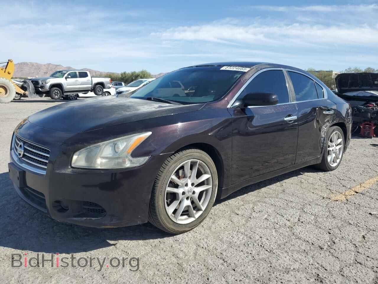 Photo 1N4AA5AP5AC823068 - NISSAN MAXIMA 2010