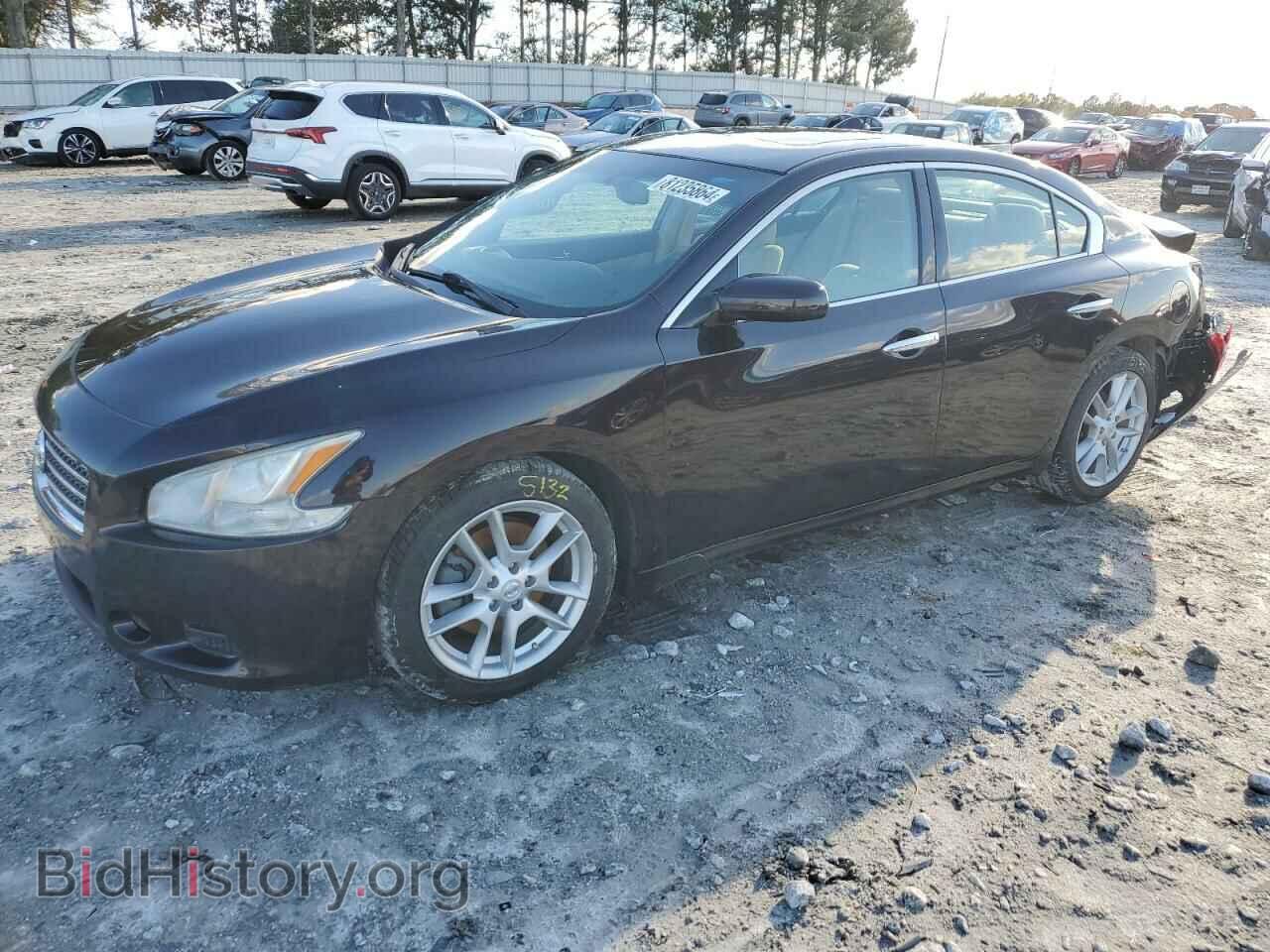 Photo 1N4AA5AP0BC833718 - NISSAN MAXIMA 2011