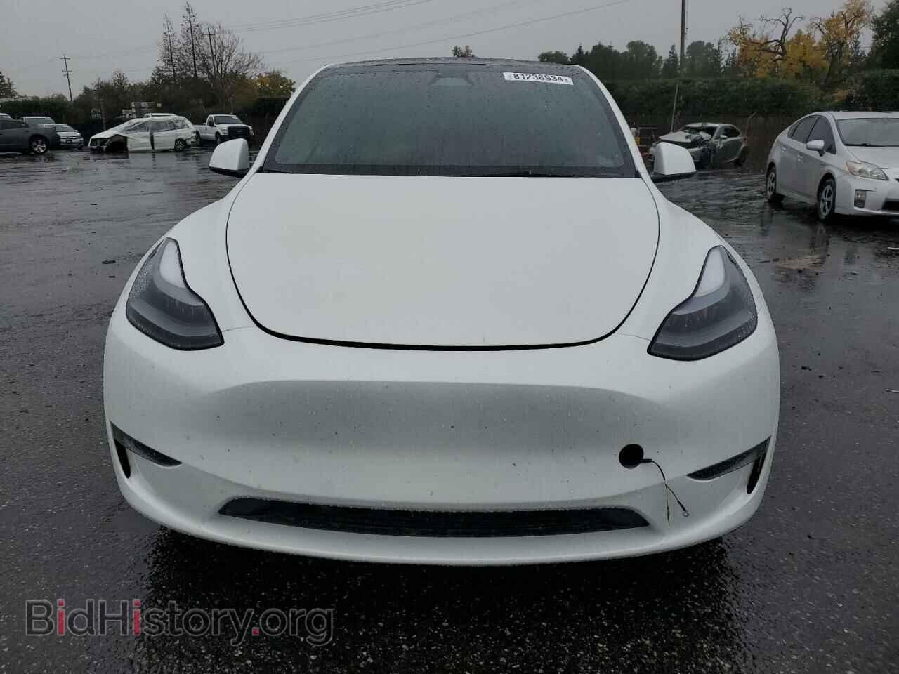 2024 TESLA MODEL Y - VIN: 7SAYGDEF9RF094562 - Фото 5