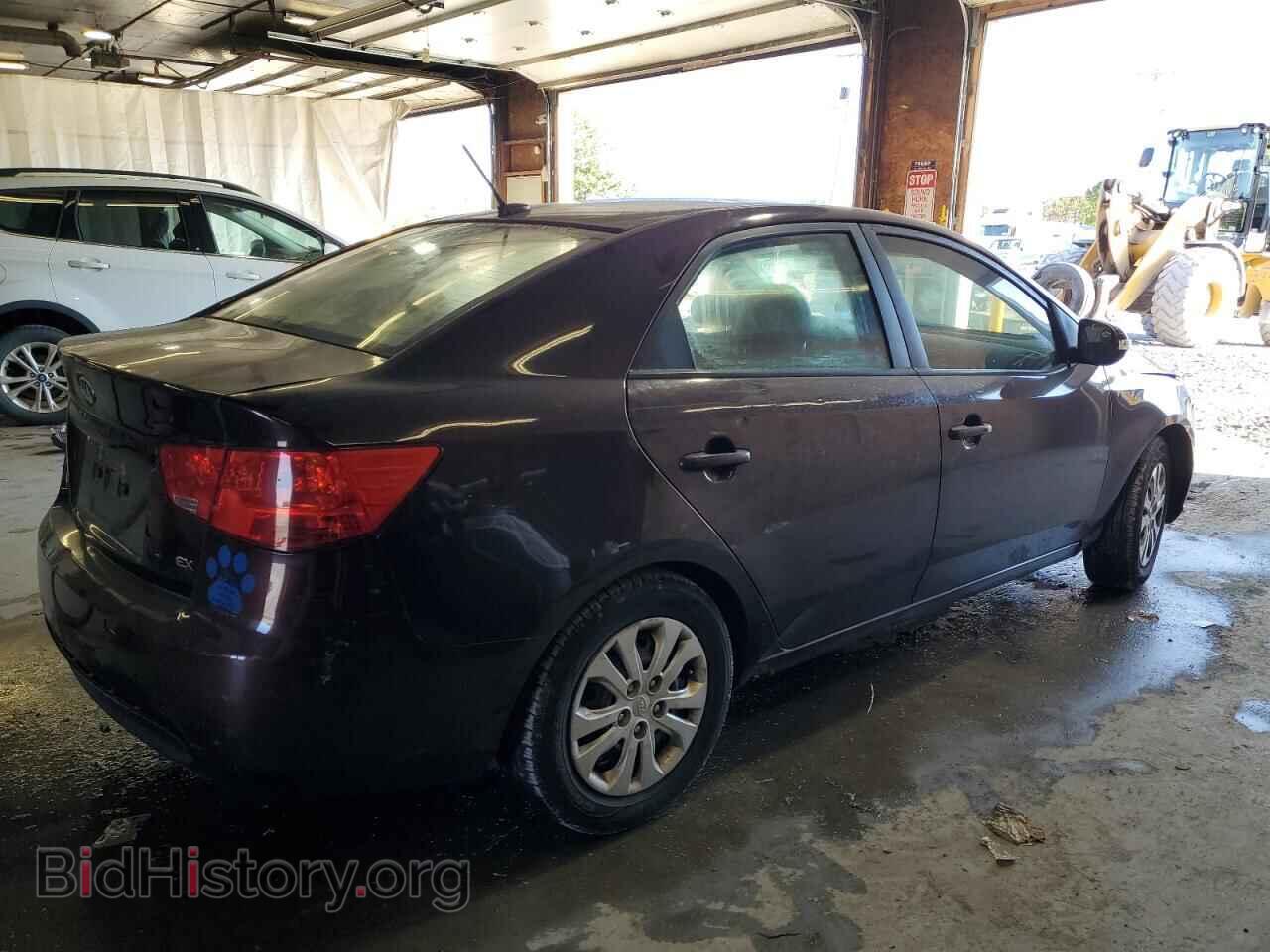 2010 KIA FORTE - VIN: KNAFU4A27A5310122 - Фото 3