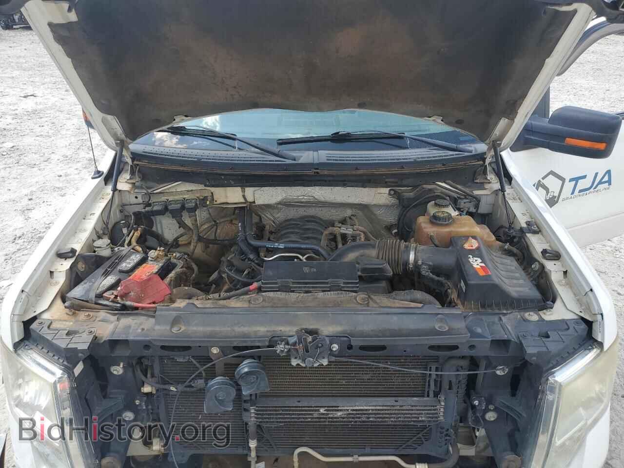 2013 FORD F-150 - VIN: 1FTFW1EF9DFA59658 - Фото 11